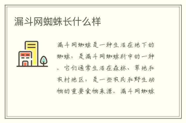 漏斗网蜘蛛长什么样(漏斗网蜘蛛长什么样子)